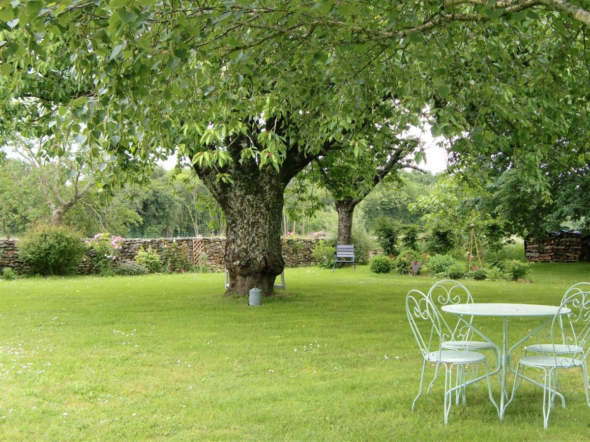 Du Cote De L'Ombriere Bed & Breakfast Geay  Eksteriør bilde